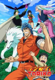 toriko-image